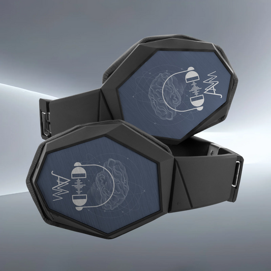 AMM Noise Canceling Omnidirectional Headphones