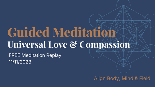 11/11/23 Awakening Mass Meditation | Universal Love | Compassion | Connection