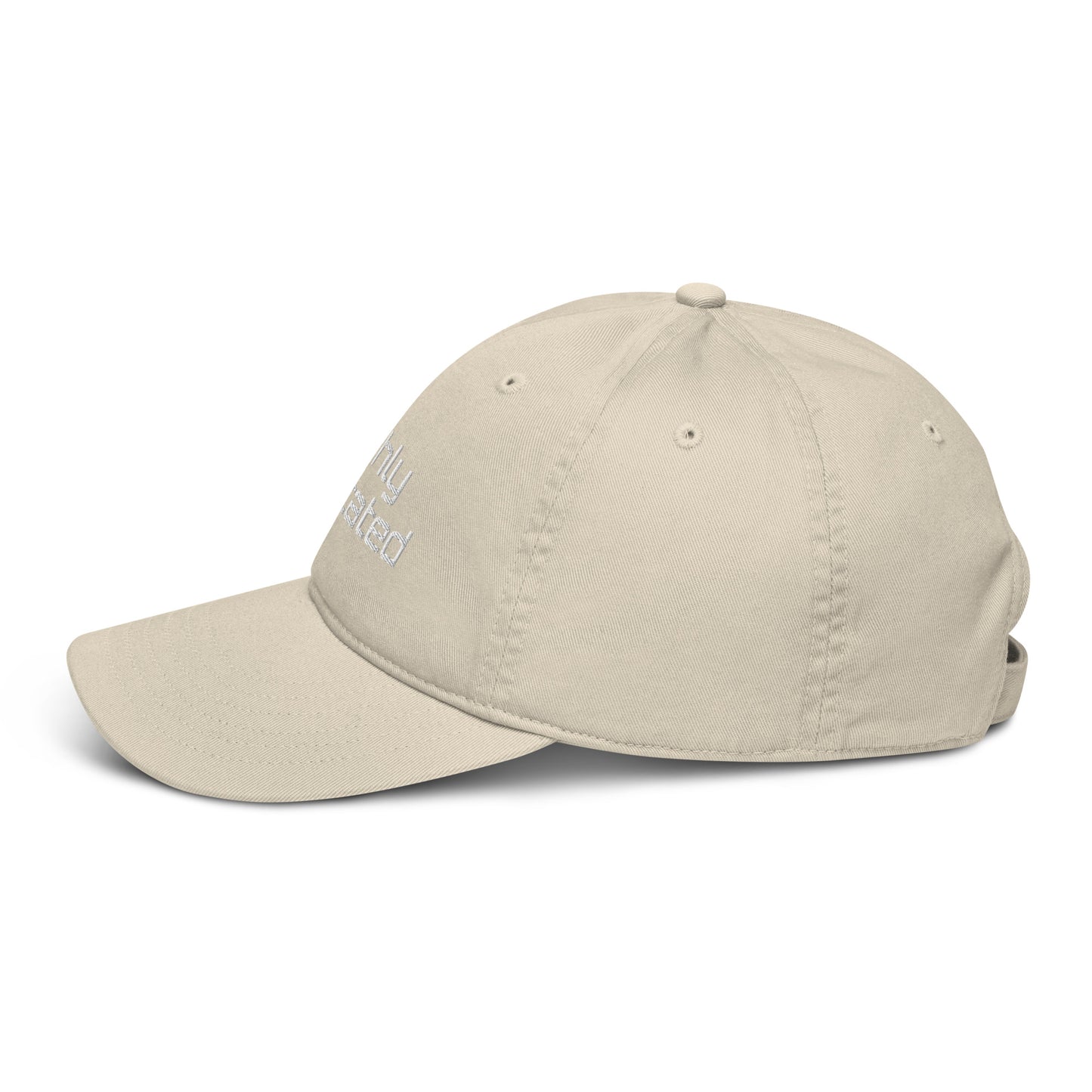 Organic Highly Meditated Dad Hat